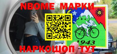 стаф Будённовск