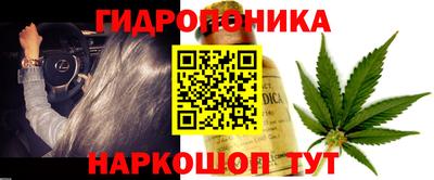 стаф Будённовск