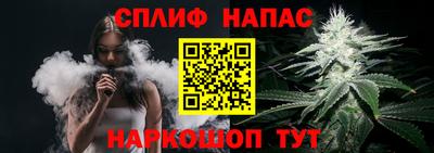 стаф Будённовск